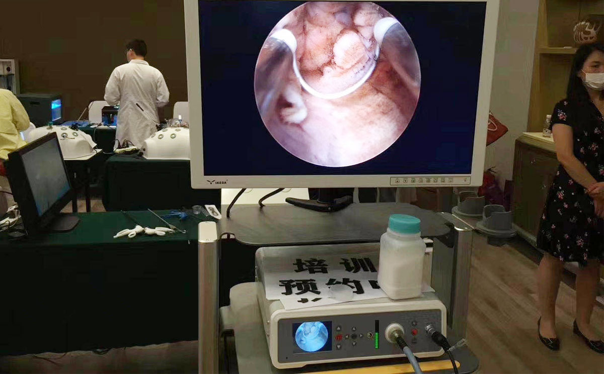 第十五屆婦科微創(chuàng)技術(shù)新進展學(xué)習(xí)班 第十五屆婦科微創(chuàng)技術(shù)新進展學(xué)習(xí)班