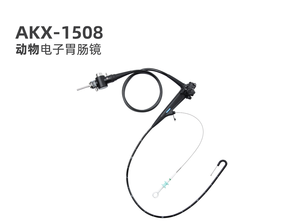 新產(chǎn)品:動物電子胃腸鏡 AKX-1508 新產(chǎn)品:動物電子胃腸鏡 AKX-1508