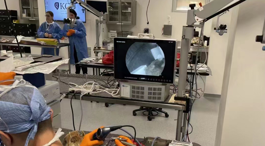 獸用關(guān)節(jié)鏡的基本配置有哪些？