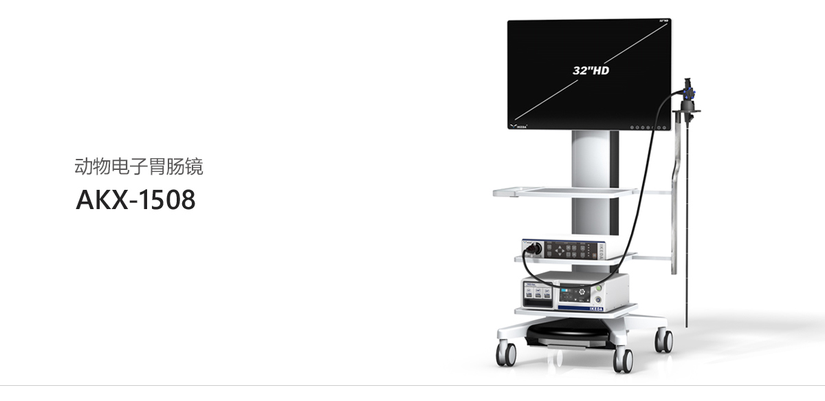 動物電子胃腸鏡 AKX-1508 動物電子胃腸鏡 AKX-1508