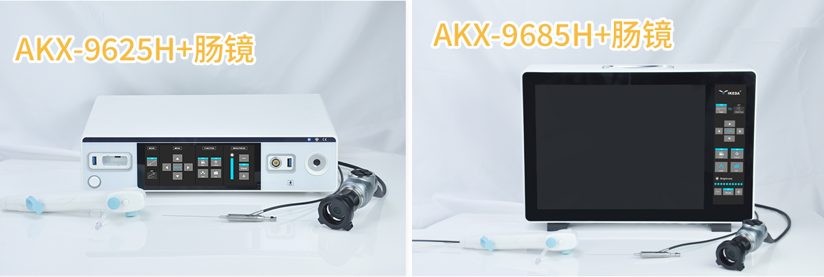 小鼠結(jié)腸鏡系統(tǒng) 小鼠結(jié)腸鏡系統(tǒng)