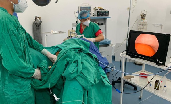 動物怎么做鼻內(nèi)窺鏡檢查？